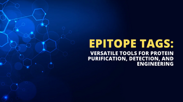 Epitope Tags