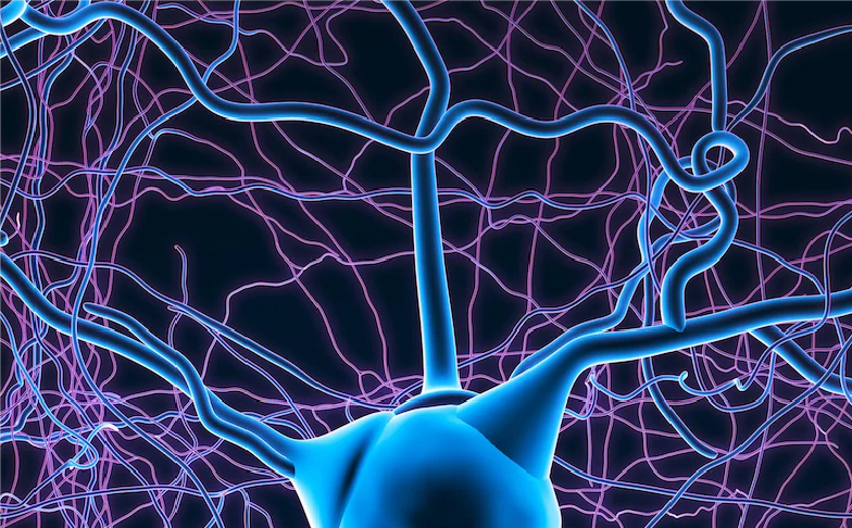Neuroscience