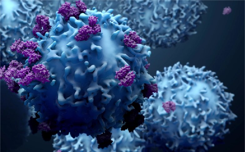 Cancer & Oncology