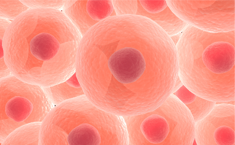Cell Biology