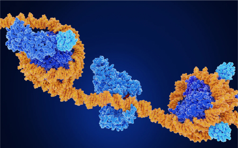 Epigenetics