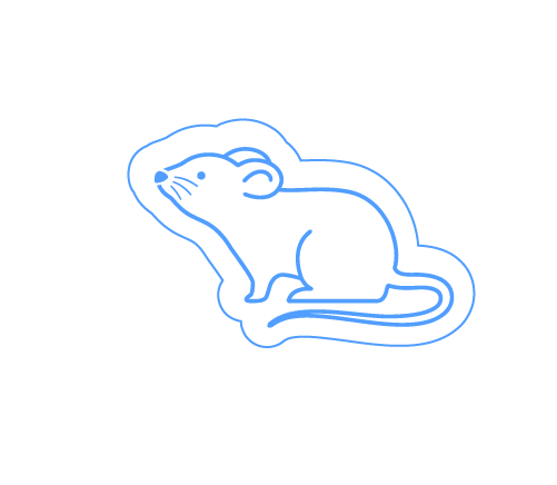 Mouse Monoclonal Antibodies